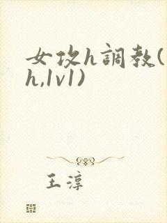 女攻h调教(高h,1v1)