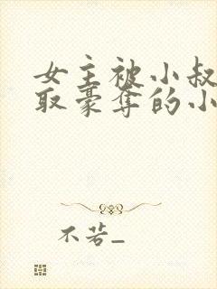 女主被小叔子强取豪夺的小说封面