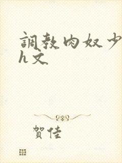 调教肉奴少司缘h文