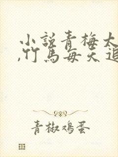 小说青梅太羞涩,竹马每天追着宠免费阅读封面