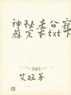 神秘老公宠妻上瘾完本txt下载