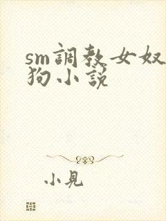 sm调教女奴母狗小说封面