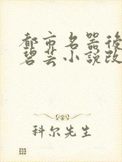 都市名器后宫温碧芸小说改编电视剧封面