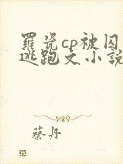 罗瓷cp被囚禁逃跑文小说封面