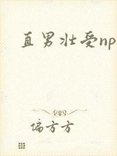 直男壮受np