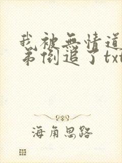 我被无情道小师弟倒追了txt