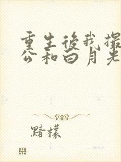 重生后我撮合老公和白月光封面