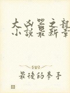 大凶器之龙傻子小说最新章节免费阅读封面