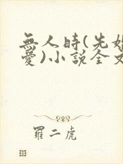 无人时(先婚后爱)小说全文免费阅读封面