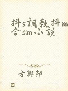 抖s调教抖m百合sm小说