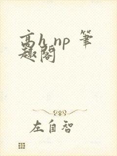 高h np 笔趣阁
