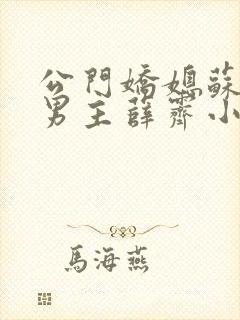 公门娇媳苏雪瑶男主薛霁小说封面