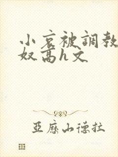 小哀被调教成肉奴高h文封面