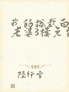 我的总裁白富美老婆3楼免费版