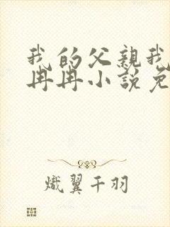 我的父亲我的妻冉冉小说免费阅读封面