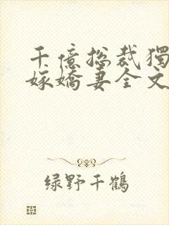 千亿总裁独宠替嫁娇妻全文阅读