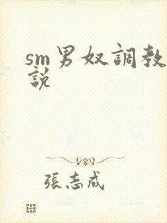 sm男奴调教小说