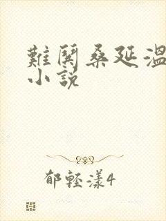 难哄桑延温以凡小说