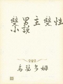 双男主双性调教小说