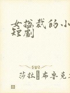 女总裁的小保安短剧封面