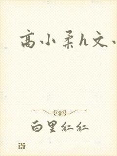高小柔h文小说