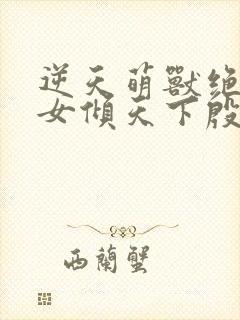 逆天萌兽绝世妖女倾天下殷念