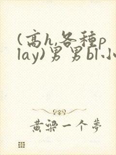 (高h,各种play)男男bl小说封面