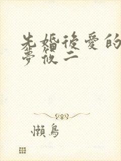 先婚后爱的小说梦筱二