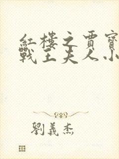 红楼之贾宝玉大战王夫人小说