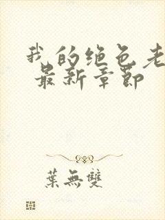 我的绝色老板娘 最新章节