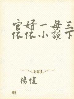 官婿一母三女柳依依小说下载封面