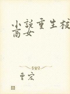 小说重生校园之商女