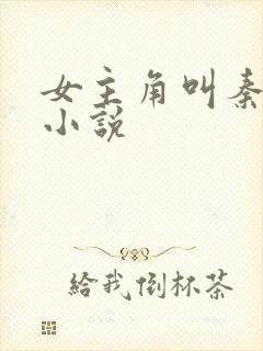 女主角叫秦晚的小说