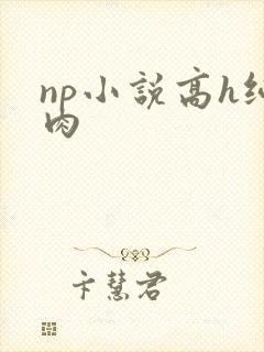 np小说高h纯肉