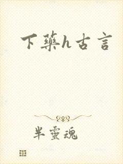 下药h古言封面