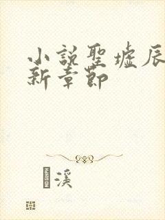 小说圣墟辰东最新章节