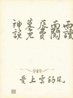 神墓辰南雨馨小说免费阅读无弹窗