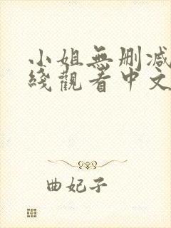 小姐无删减版在线观看中文封面