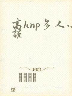高hnp多人小说