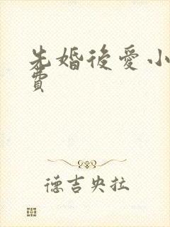 先婚后爱小说免费封面