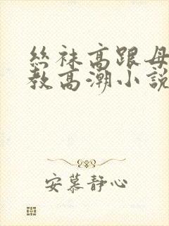 丝袜高跟母狗调教高潮小说封面