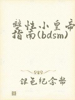 双性小皇帝调教指南(bdsm)