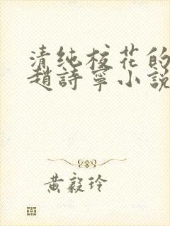 清纯校花的堕落赵诗宁小说全文免费封面