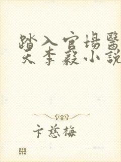 踏入官场医道问天李毅小说阅读封面