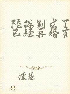 陆总别求了夫人已经再婚有娃了短剧免费观看