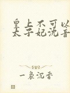 皇上不可以我是太子妃沈音小说免费阅读封面