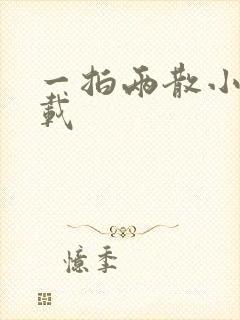 一拍两散小说下载封面