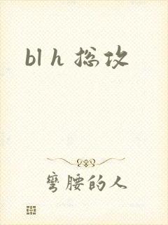 bl h 总攻
