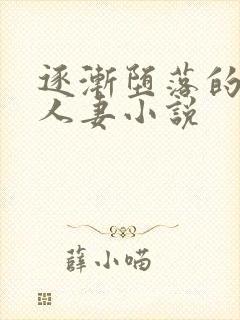 逐渐堕落的绝美人妻小说