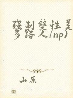 强制双性美人(多路人/np)